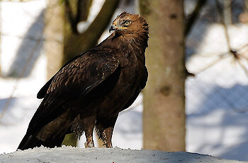 Erlebnisbauernhof am Nationalpark